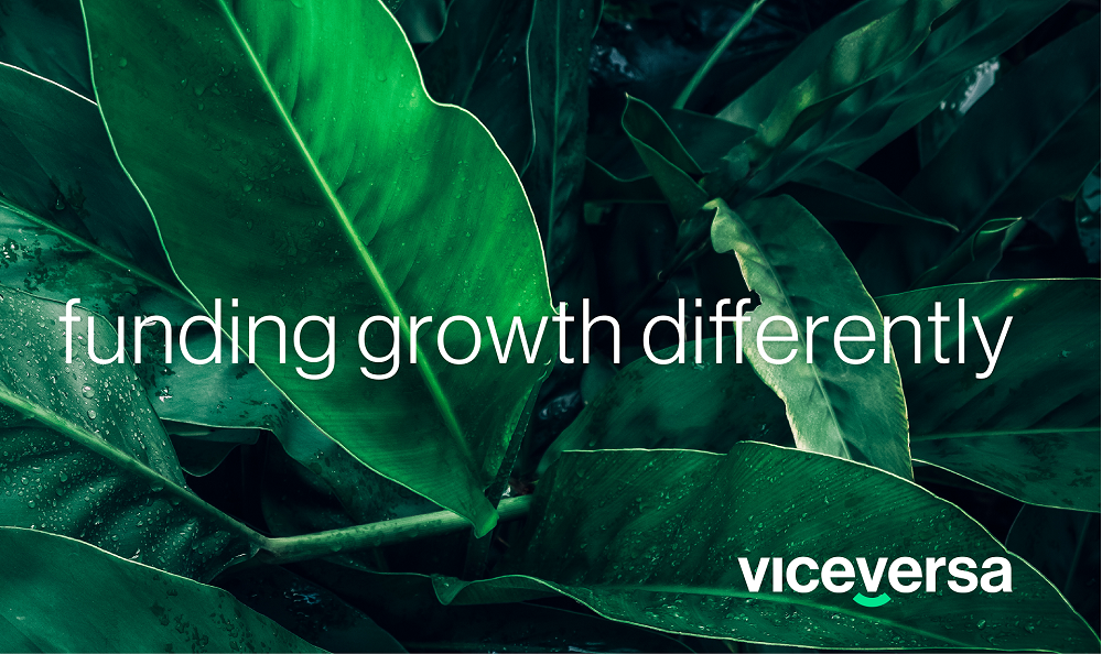 Viceversa’s growth after just 5 months: 9M in total portfolio value and 16 new employees hired