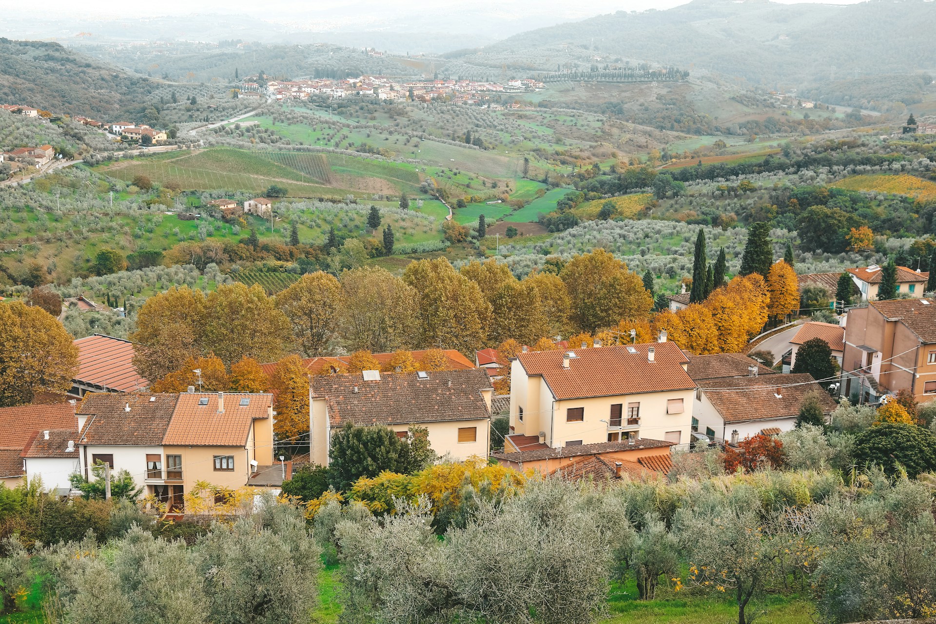 Ruralis property Management