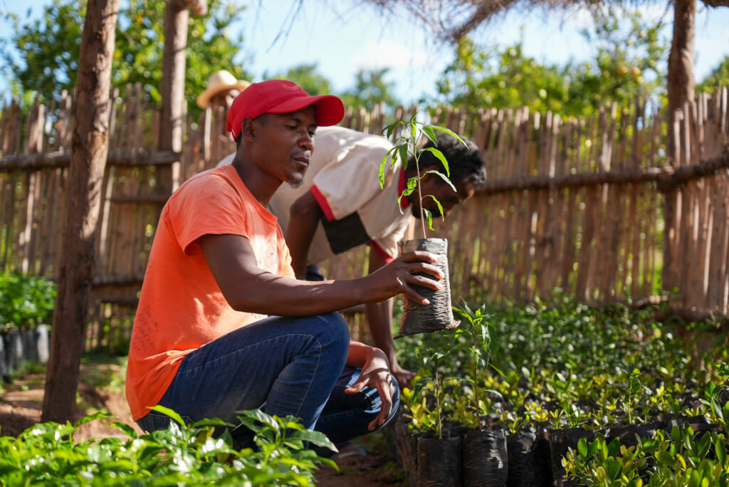 Mission driven growth with Treedom